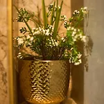 Apartment Bernard Deluxe Renovated Peaceful Old Town Gem