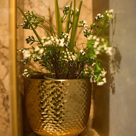 Apartment Bernard Deluxe Renovated Peaceful Old Town Gem