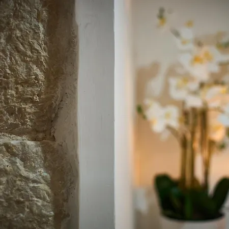 Bernard Deluxe Renovated Peaceful Old Town Gem Appartamento *