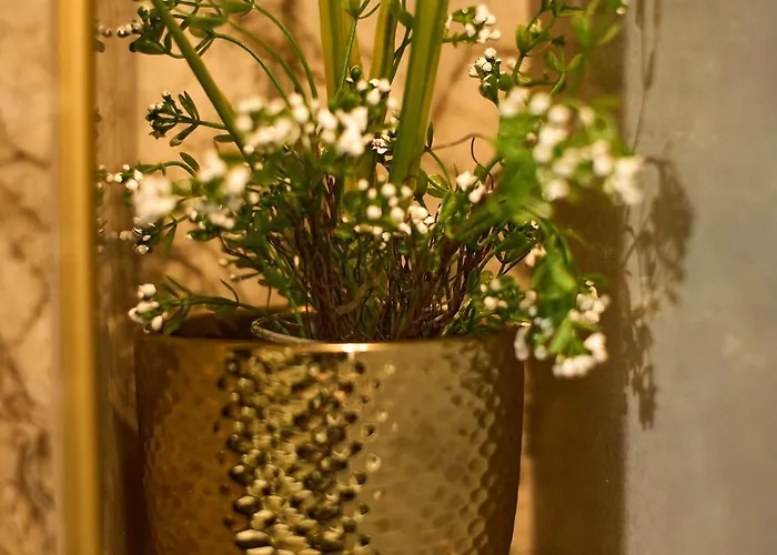 شقة Bernard Deluxe Renovated Peaceful Old Town Gem